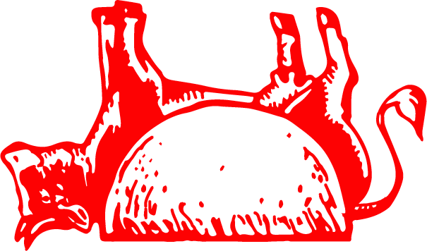 Taquería Orinoco